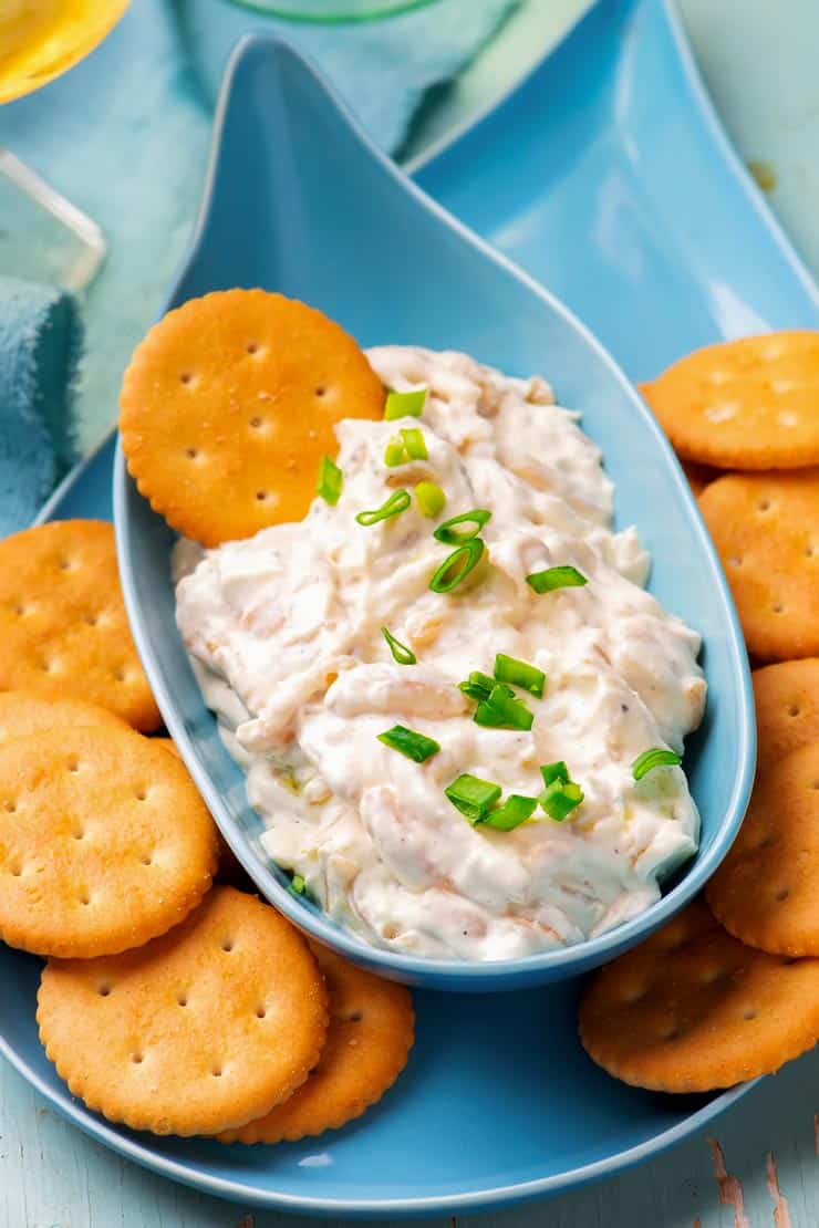 Sweet onion dip with cracker and green onions