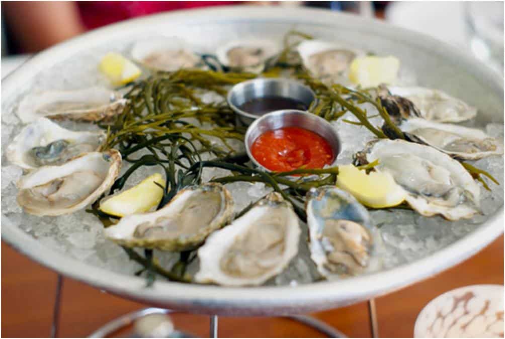 fresh oysters on ice with sauces