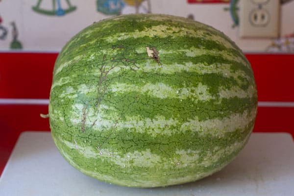 A whole watermelon on a white cutting board.