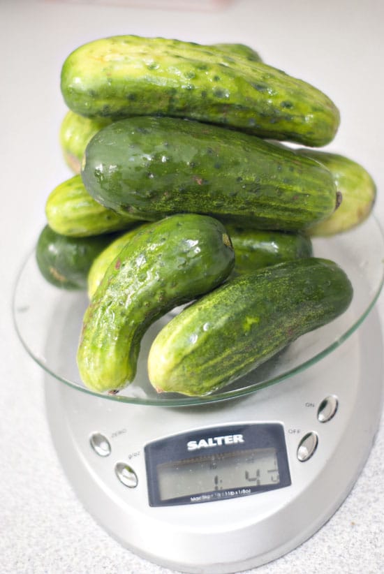 Stack of pickles on a kitchen scale.