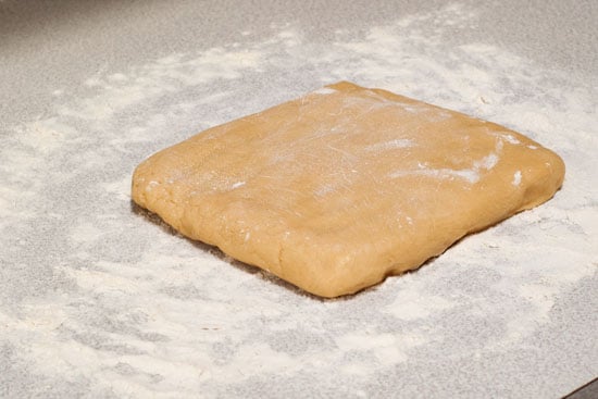 Simple cookie dough on a floured counter top.