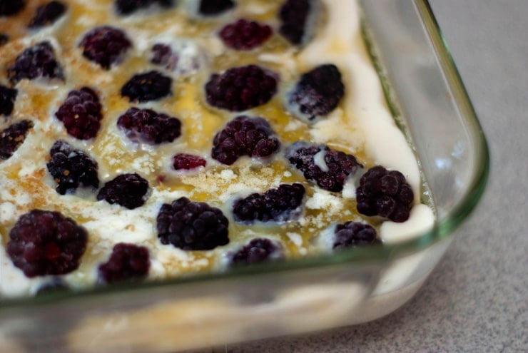 Delicious Boysenberry Cobbler in a glass cake pan.