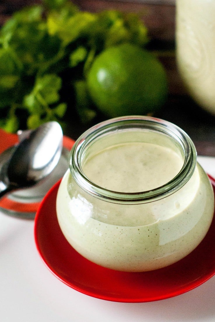 Creamy Cilantro Lime Dressing, just Like Cafe Rio! There are very few things I'd pour over my cereal, but this dressing is so good you'll want to put it on EVERYTHING! 