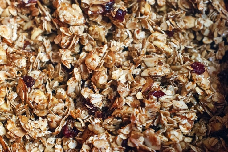 Cranberry Apple Granola Bites