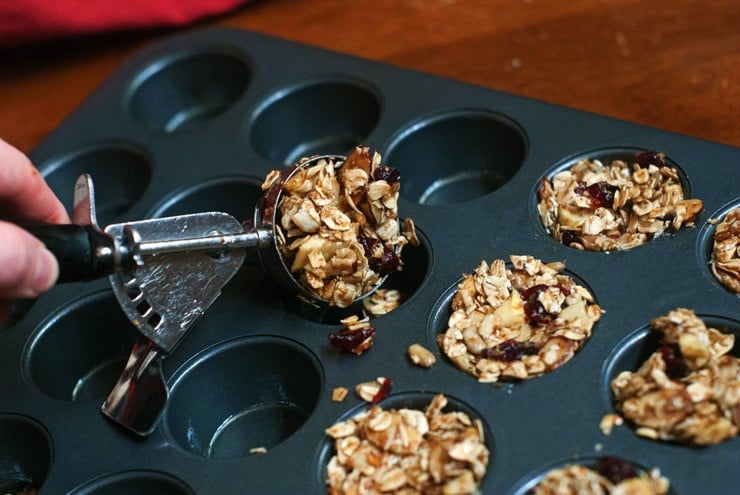 Cranberry Apple Granola Bites