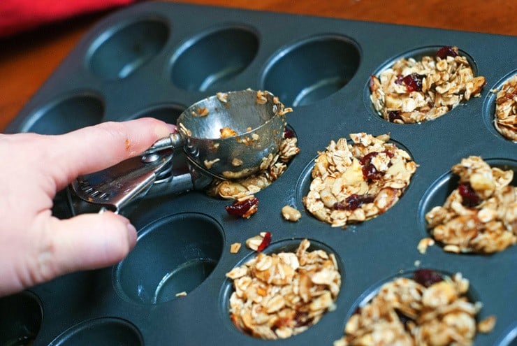 Cranberry Apple Granola Bites