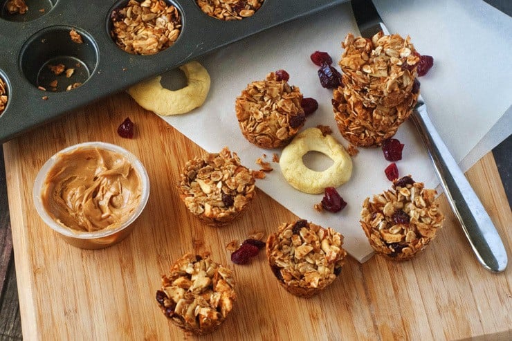 Cranberry Apple Granola Bites