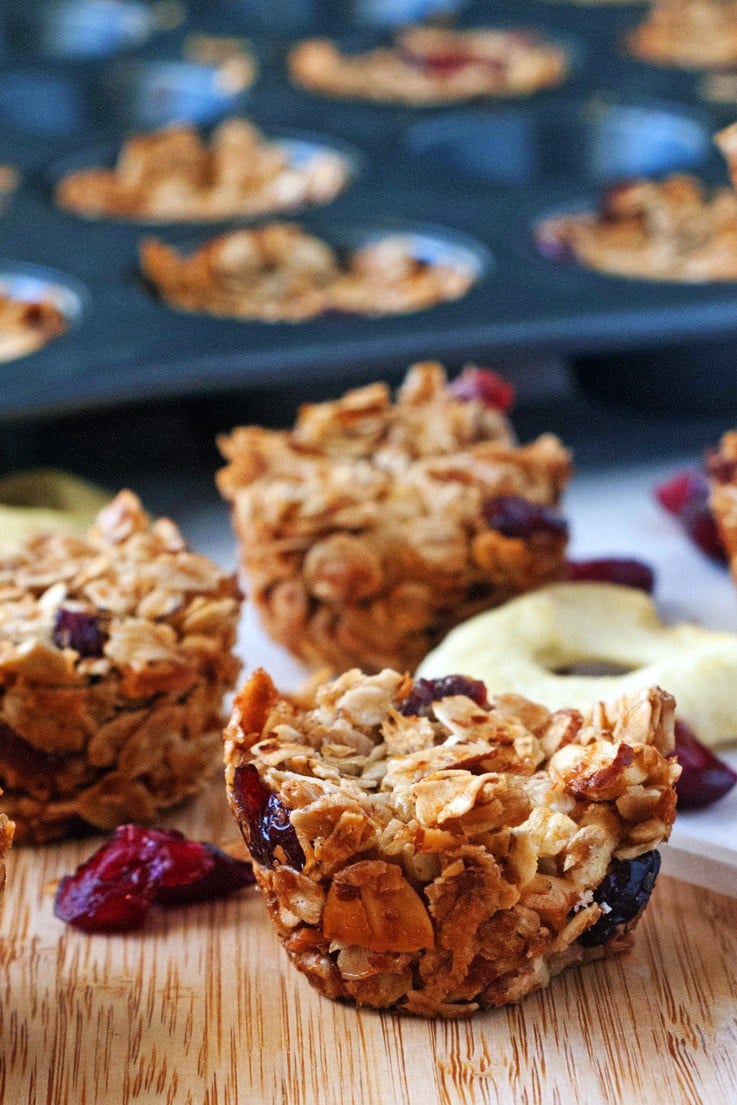 Cranberry Apple Granola Bites