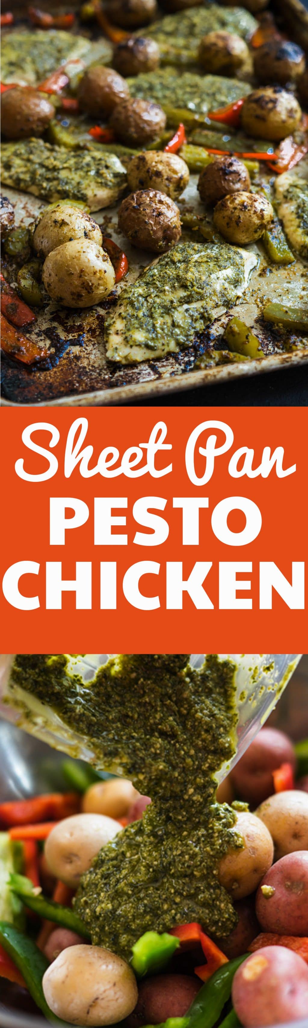 Sheet Pan Pesto Chicken and Veggies-- it only takes one pan for this sheet pan supper! Chicken breasts, mini potatoes and bell peppers are topped with basil pesto and baked! So good and so, so easy! No dishes and No mess! 