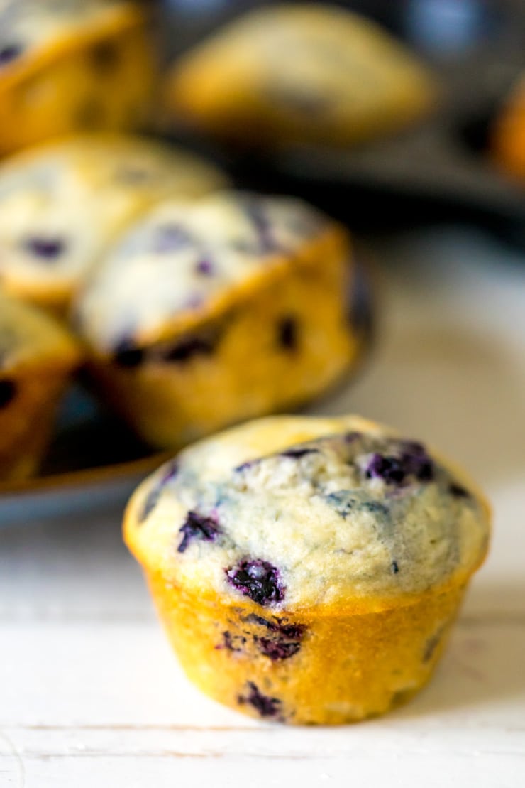 One bowl + one short-cut ingredient = easy blueberry muffins! SO EASY, even a baby can make them! REALLY!!