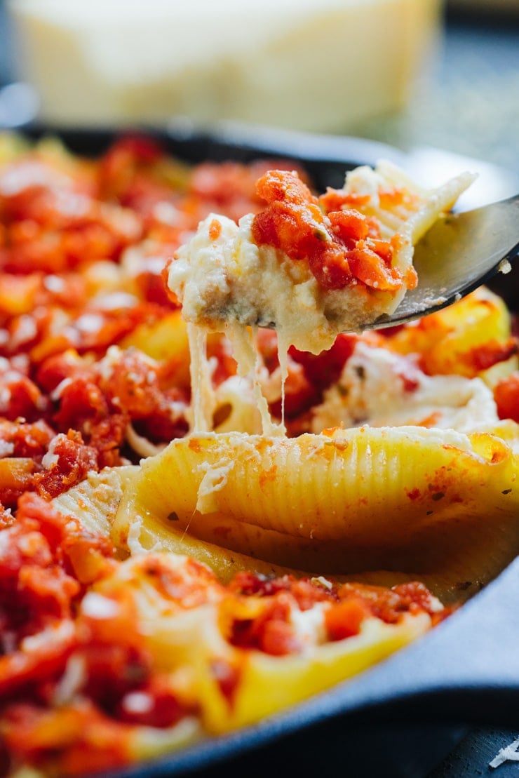 five cheese stuffed lumaconi shells covered with a basic tomato sauce