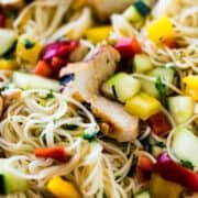 Somen Noodle Salad with grilled chicken is a light and crisp meal that is perfect for potlucks or a casual one-bowl weeknight dinner.