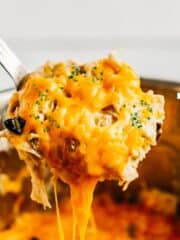 Spoonful of chicken enchilada casserole with melted cheese